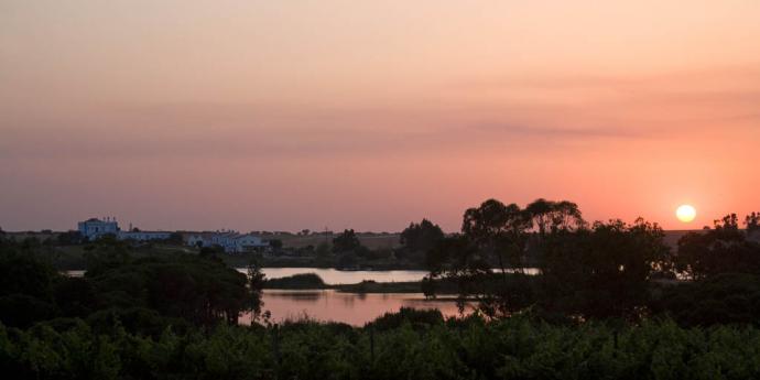 visit alentejo herdade dos grous