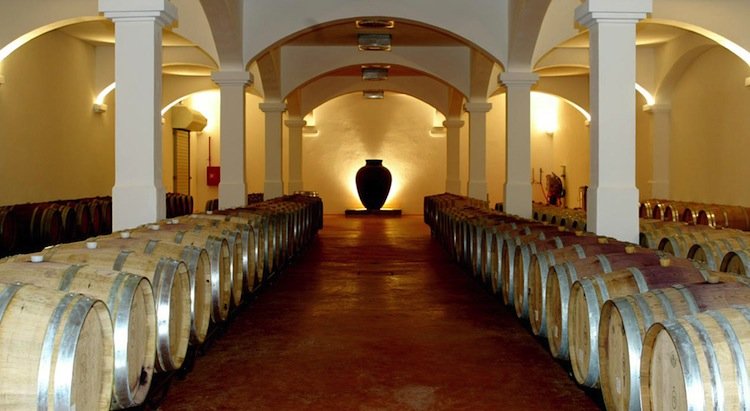 monte_da_rasvasqueira, best wine tours in alentejo, best wines from alentejo, monte da ravasqueira wines