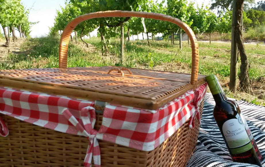 picnic, quinta de santa cristina, vinho verde, portugal, vineyards, winery