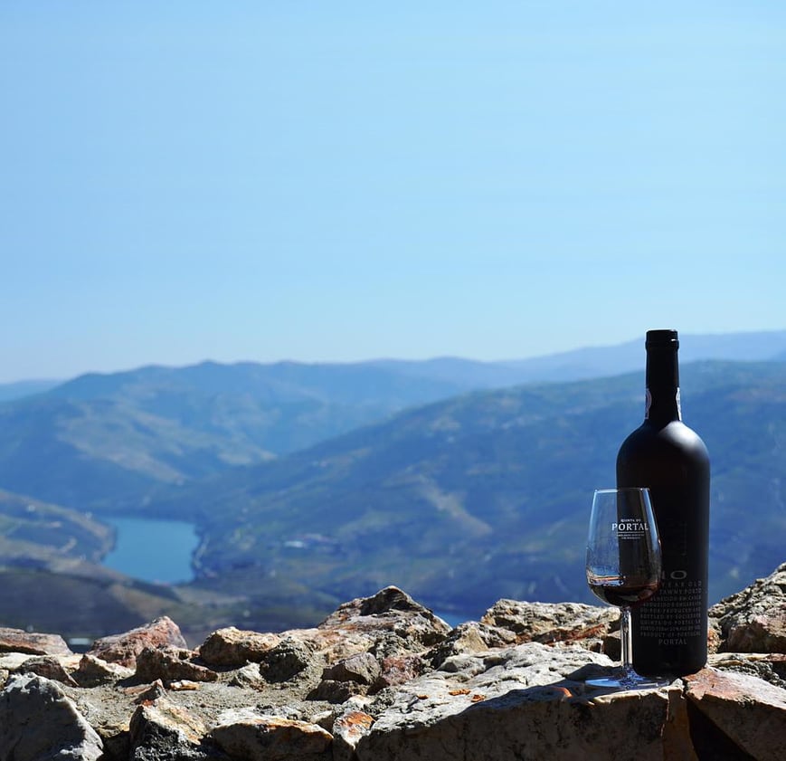 Port Wine - Douro Valley