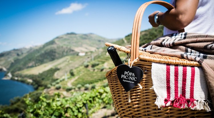 quinta_do_popa_picnic, vineyards, douro valley, wine tasting tours