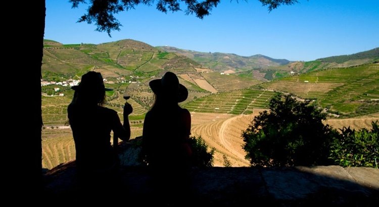 quinta_do_seixo, picnic, vineyard, portugal, douro