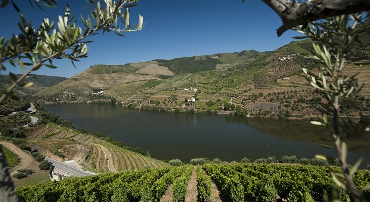 tour in douro, quinta_do_seixo