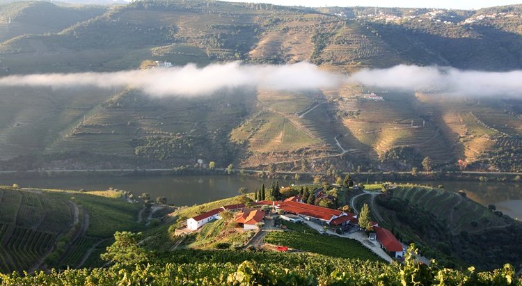 quinta_nova, wine tasting in douro, wine tours, make your own wine