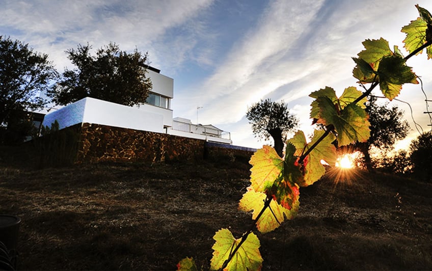 Setubal Peninsula Top Destinations - Serenada Enoturismo Winery
