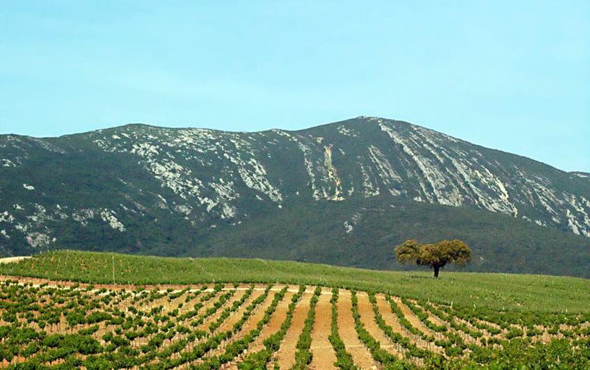 Setubal Peninsula Top Destinations - Wine Region