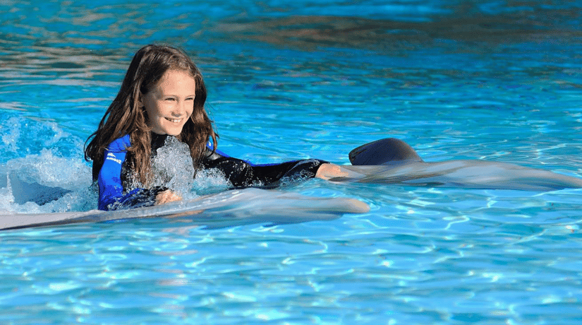 Vacations in Algarve - Swim With Dolphins in Algarve