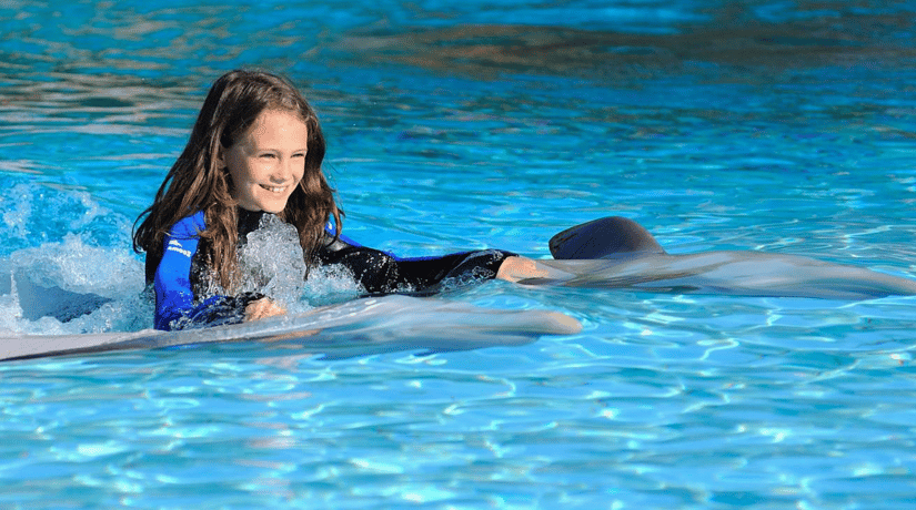 Vacations in Algarve - Swim With Dolphins in Algarve Vacations in Algarve - Swim With Dolphins in Algarve