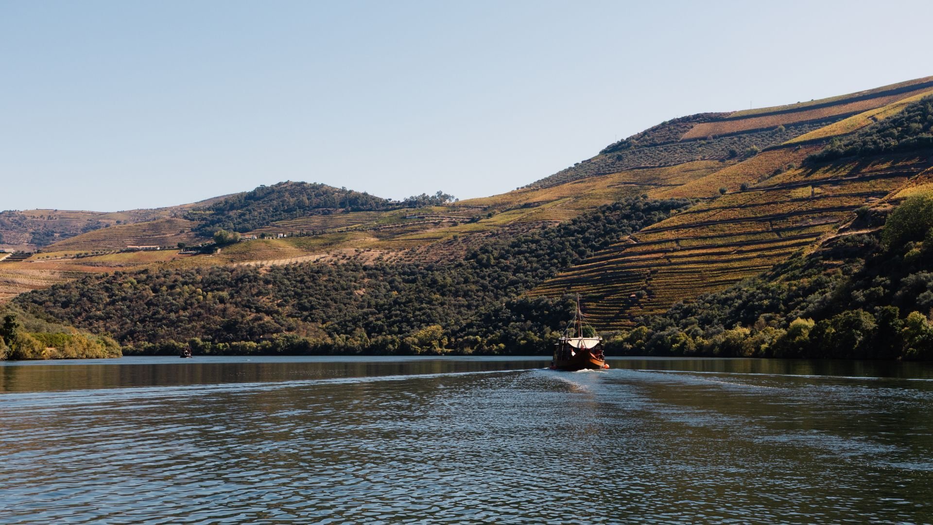 Boat on Douro River Fall Season in Portugal