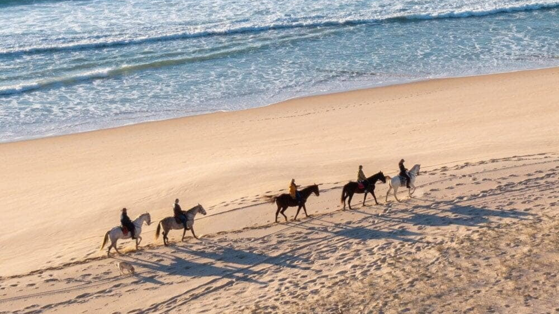 Cavalos na Areia