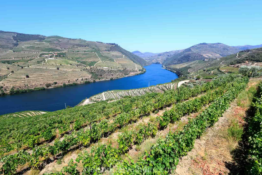 nelsondouro32