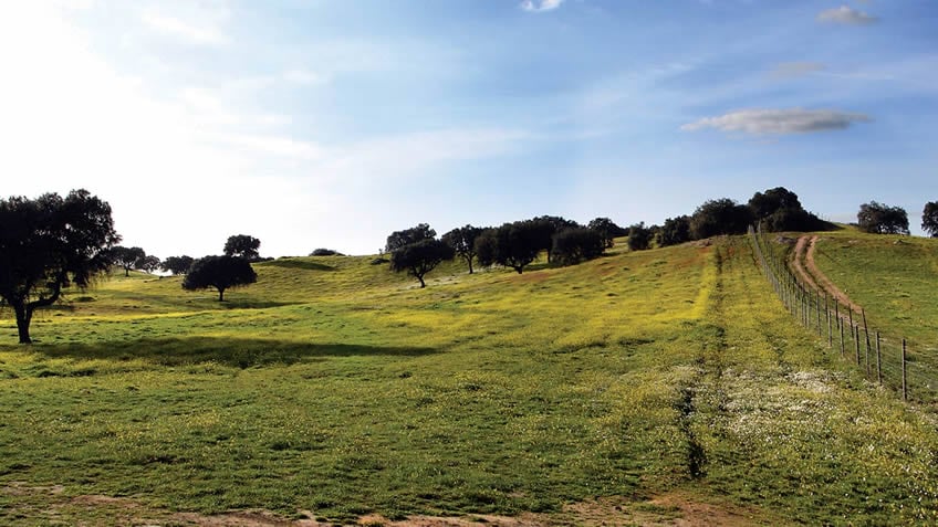 Convento do Espinheiro; Alentejo; Spring Break