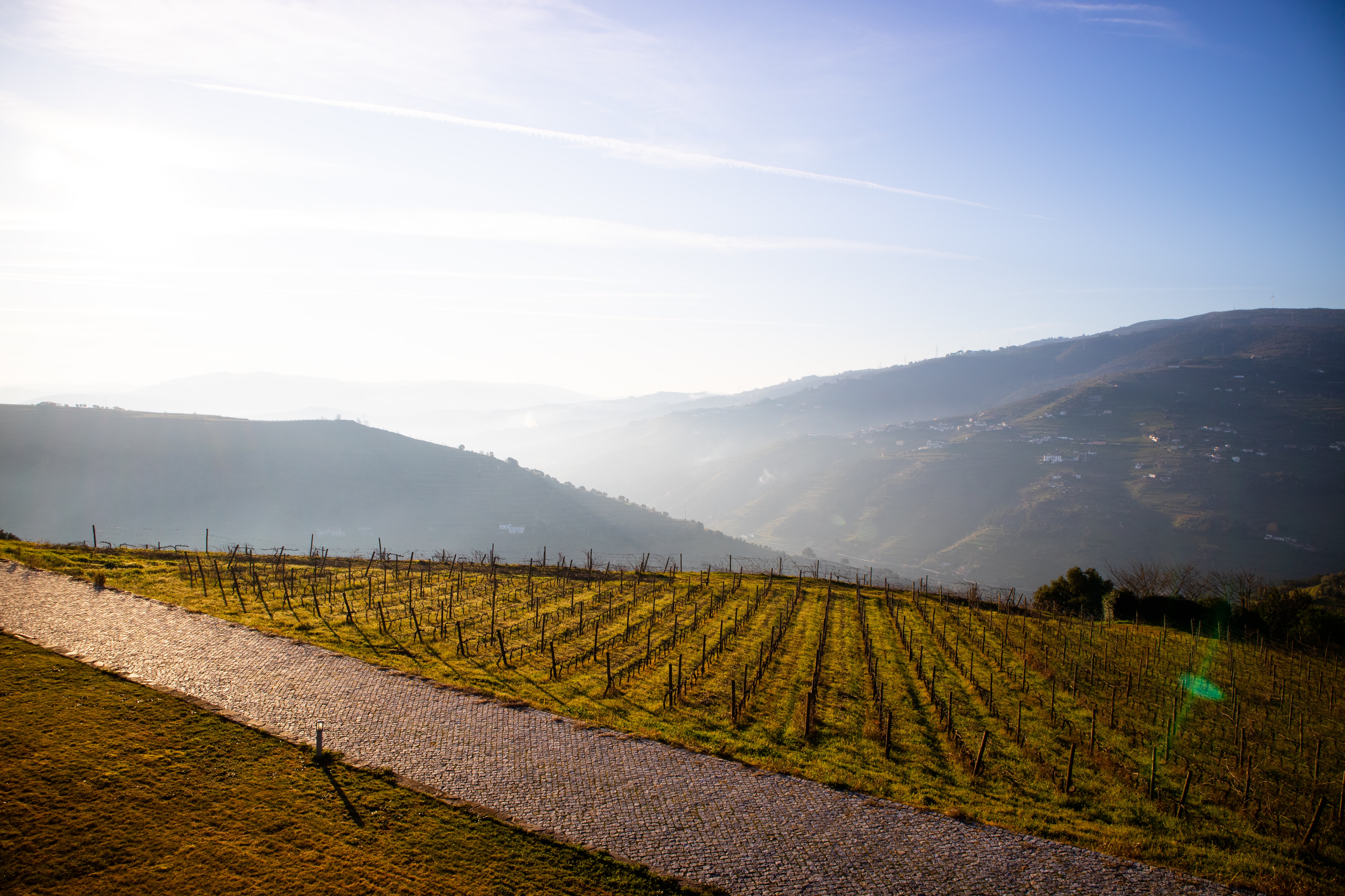 Discover this Memorable 5  day Tour in the Douro Valley (2)