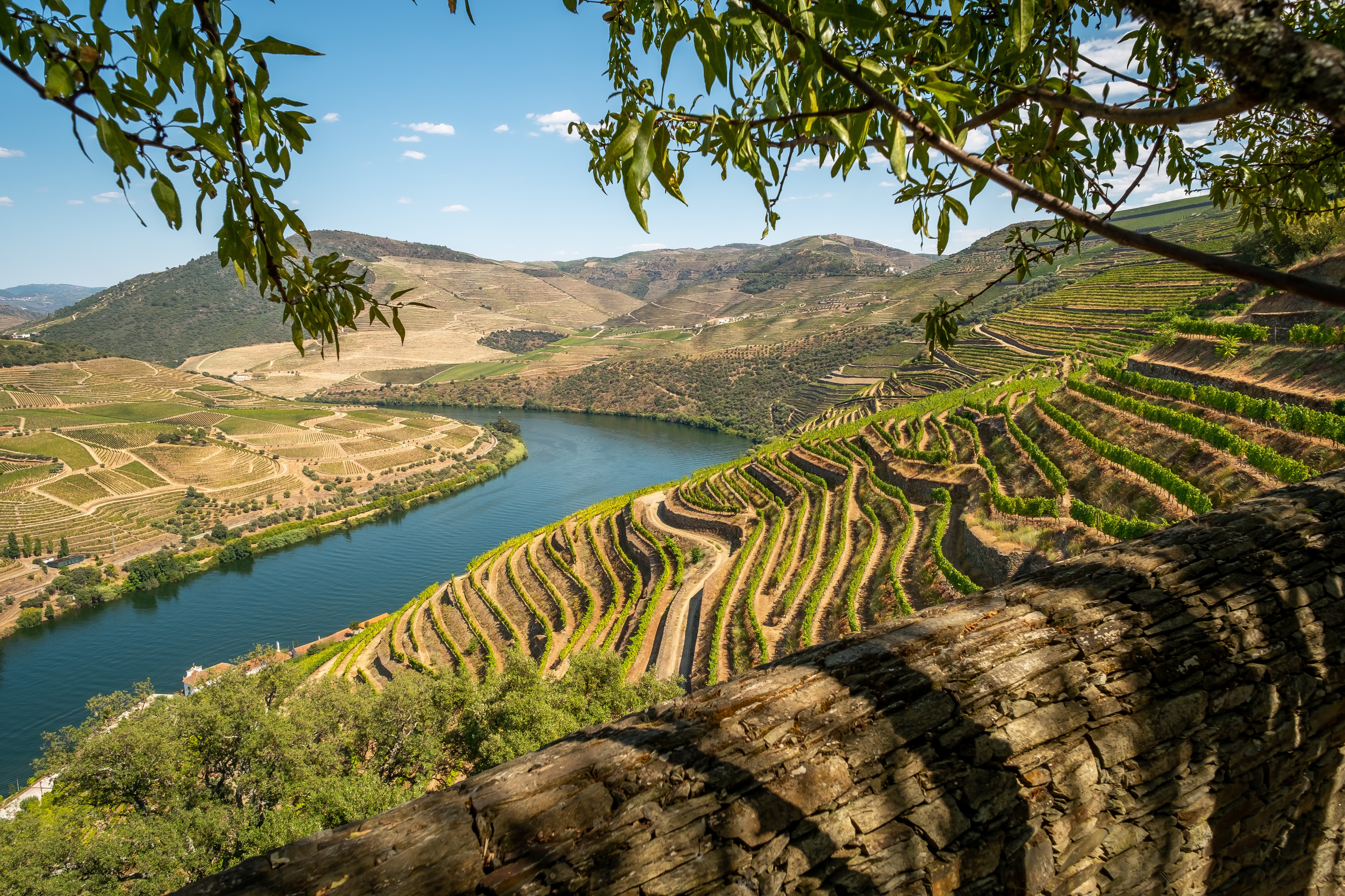 Discover this Memorable 5  day Tour in the Douro Valley