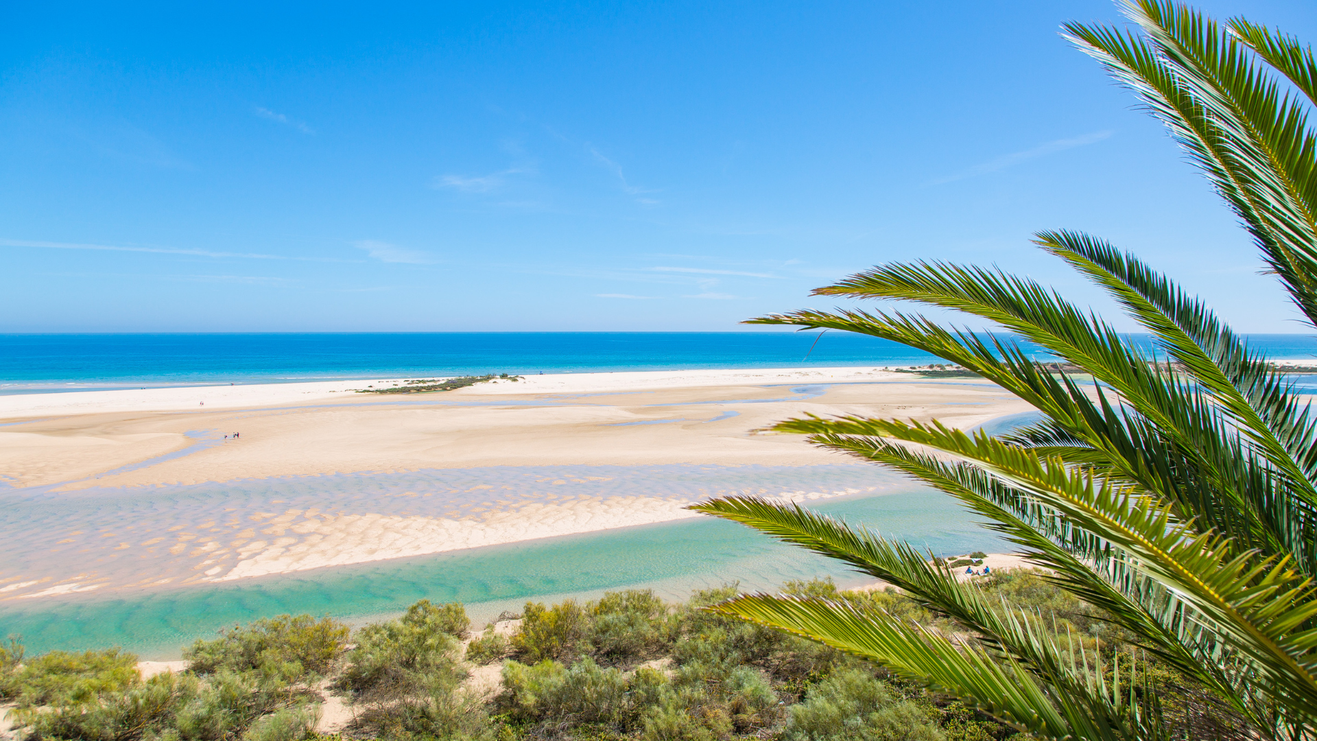 Parque Natural da Ria Formosa