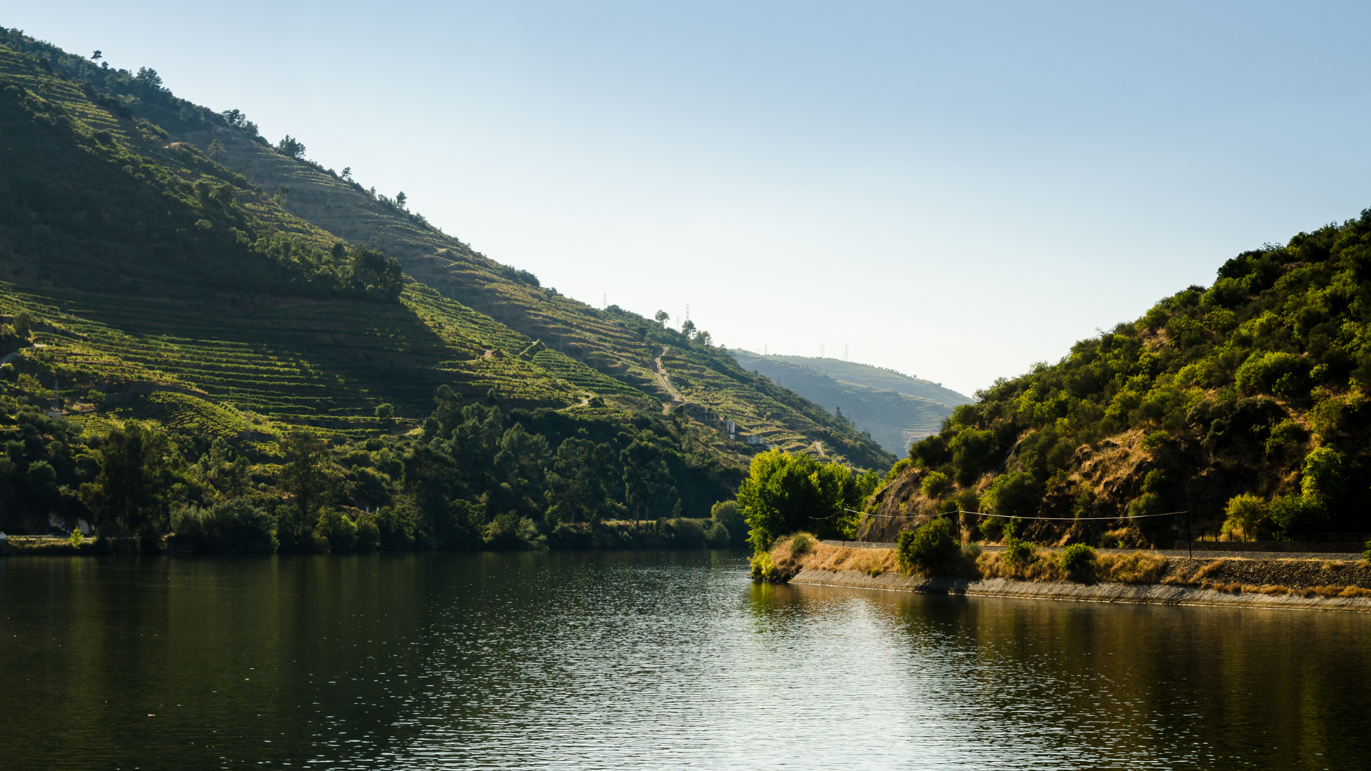 Douro Valley (2)