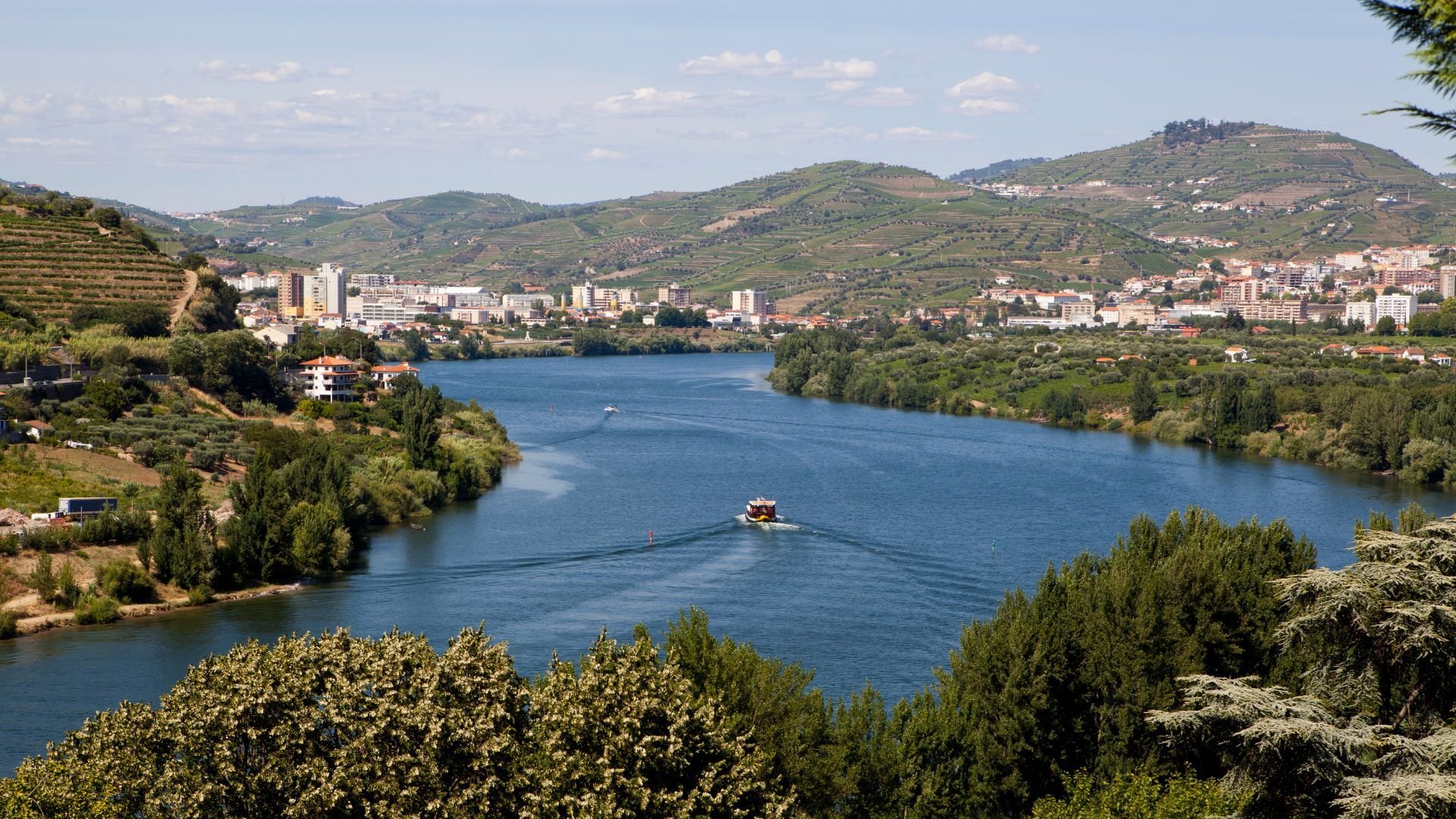 Douro Valley, Portugal