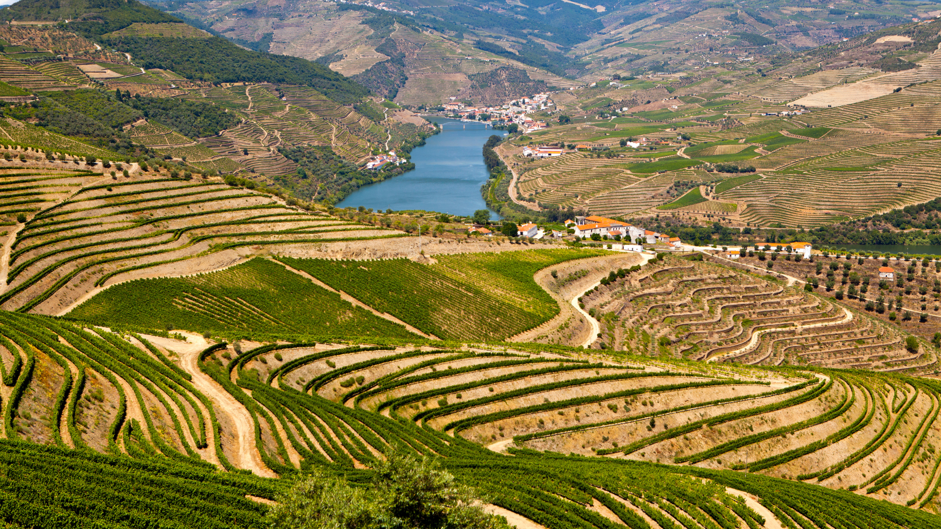 Douro Valley-1