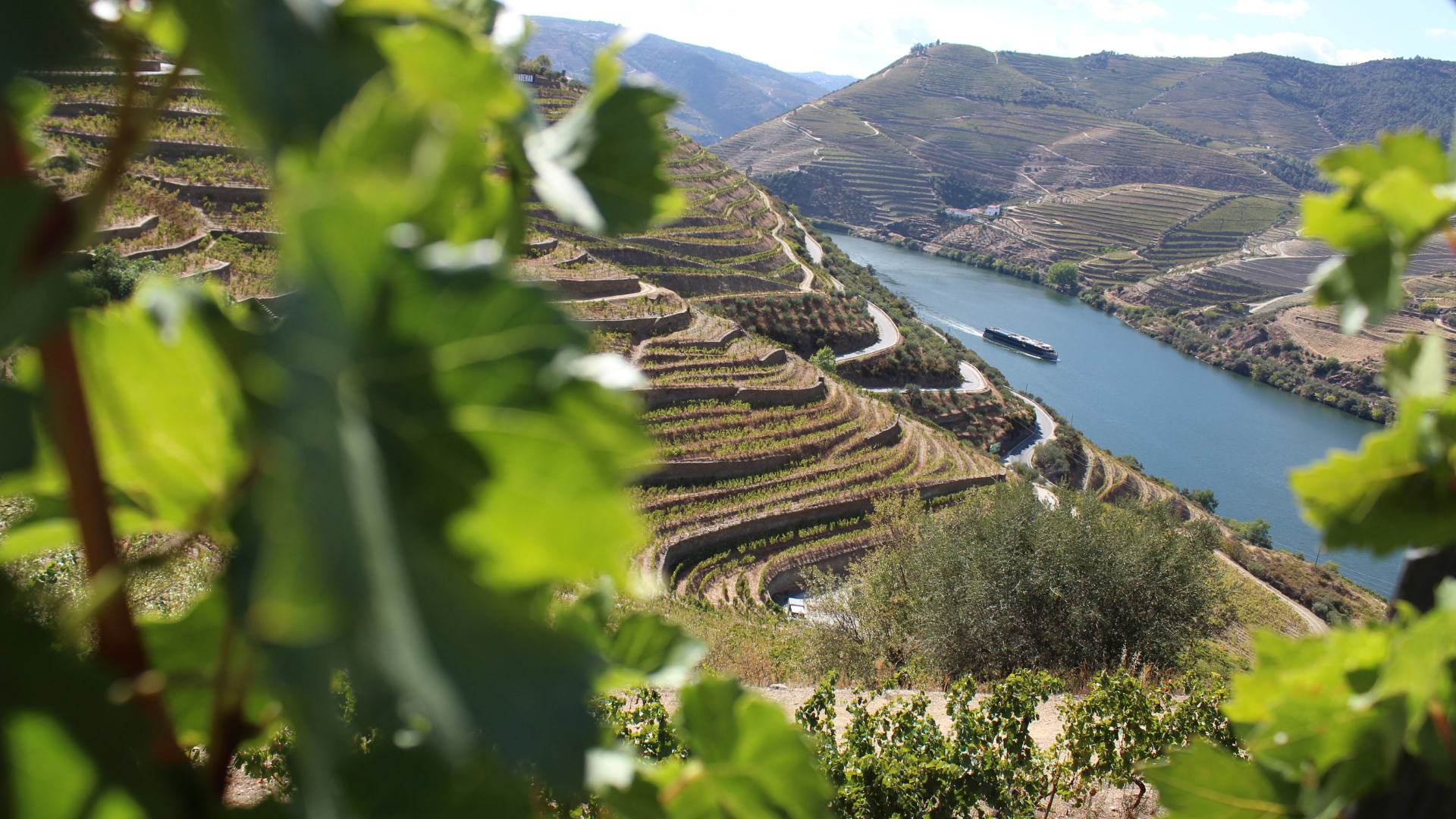 Douro-3