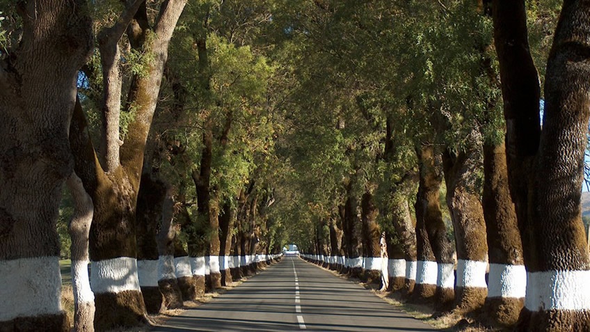 Convento do Espinheiro - 3-Day Wine and Food Tour in Alentejo