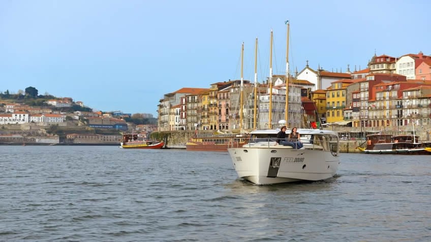 FeelDouro; Douro River Cruise