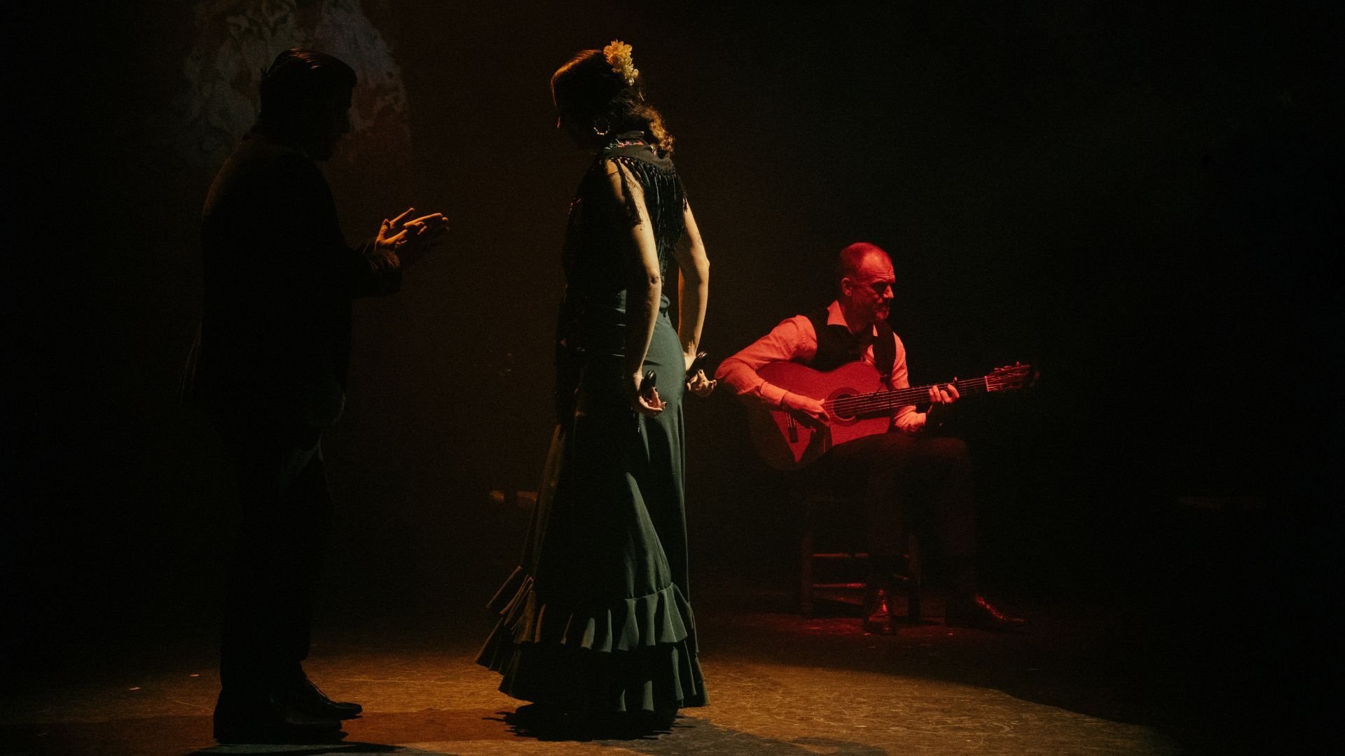 Flamenco Show