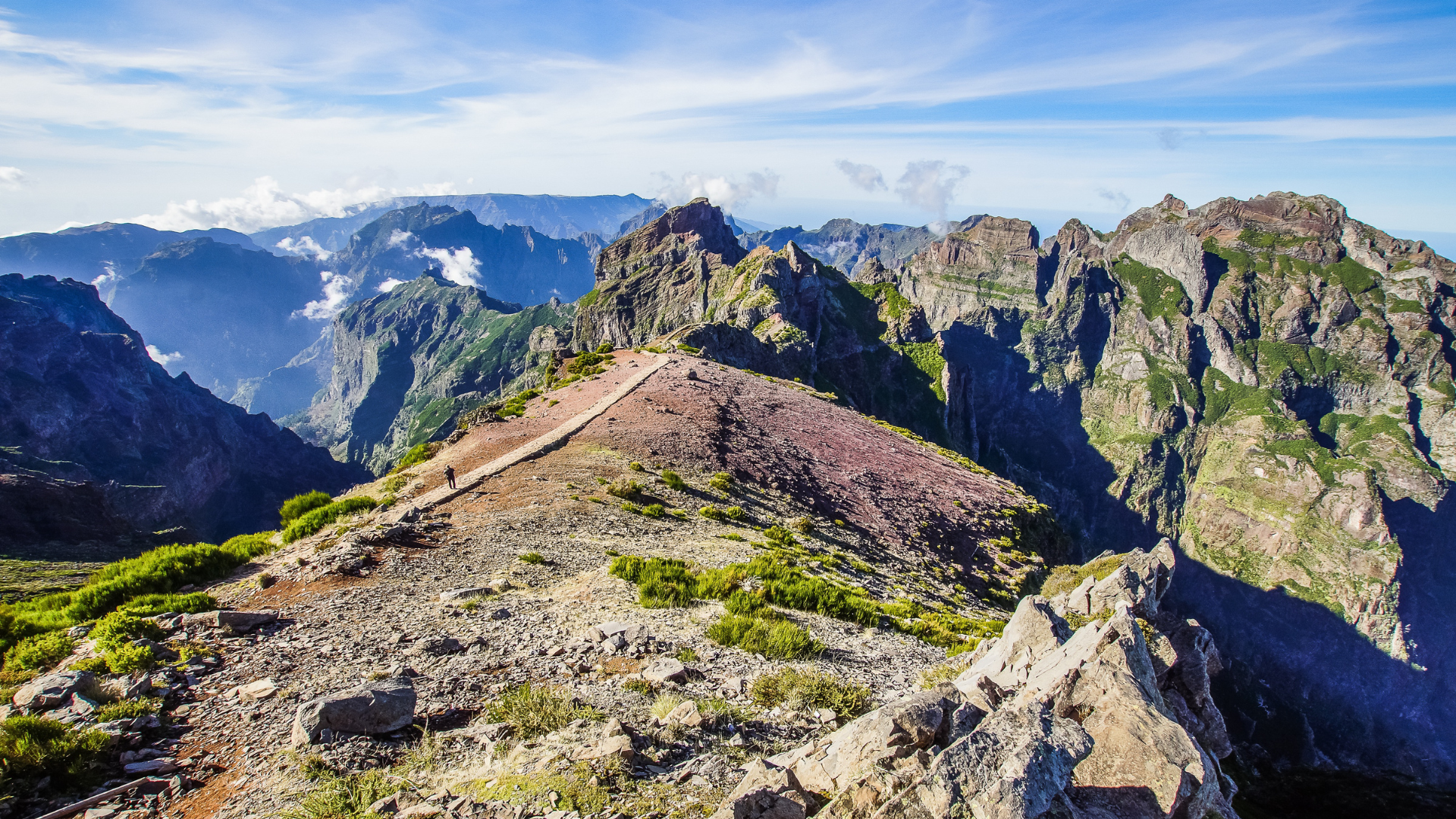 From Vineyards to Oceans Exploring Madeira’s Wine, Food, and Whale-Watching Wonders (1)