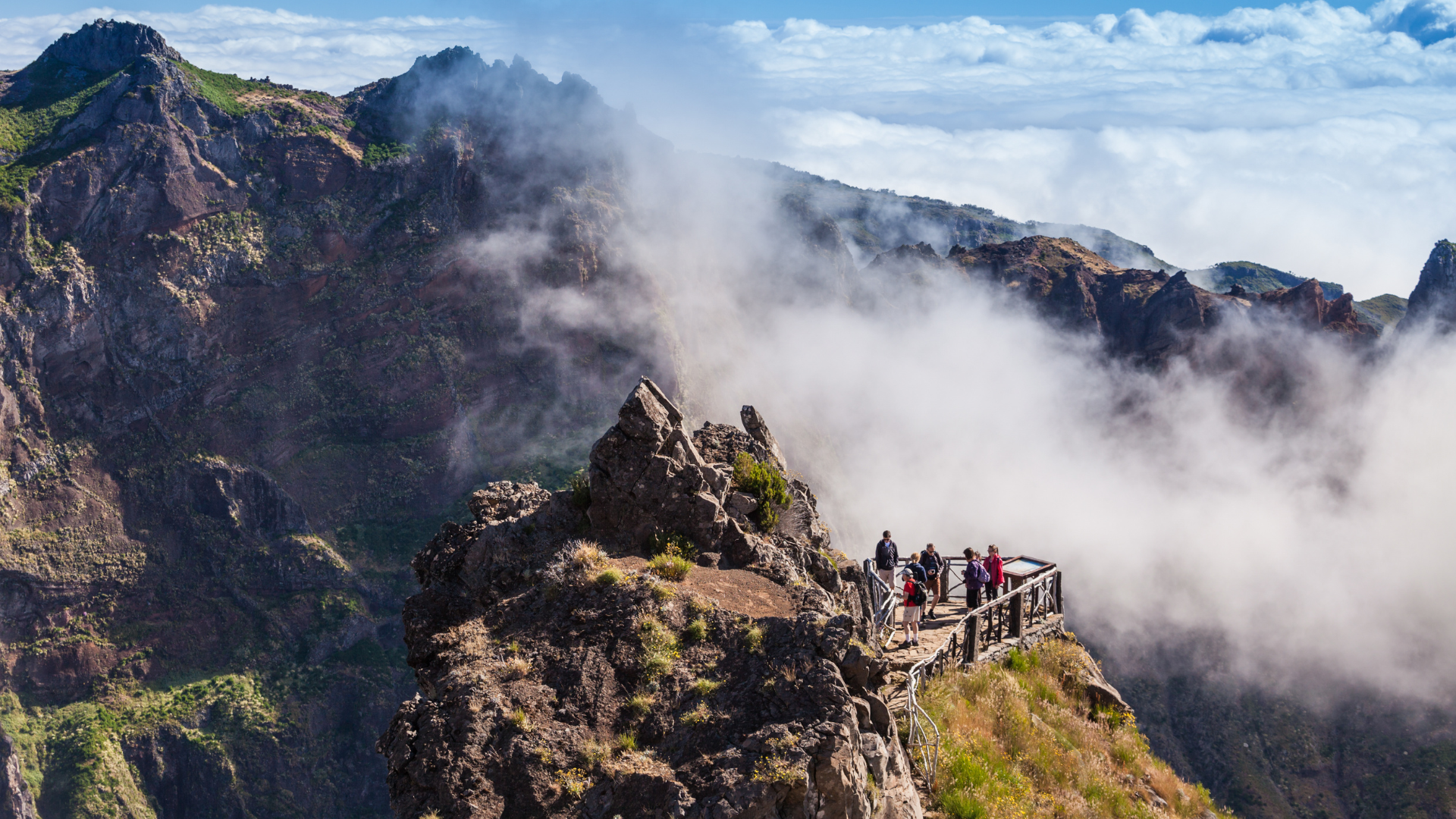 From Vineyards to Oceans Exploring Madeira’s Wine, Food, and Whale-Watching Wonders (2)