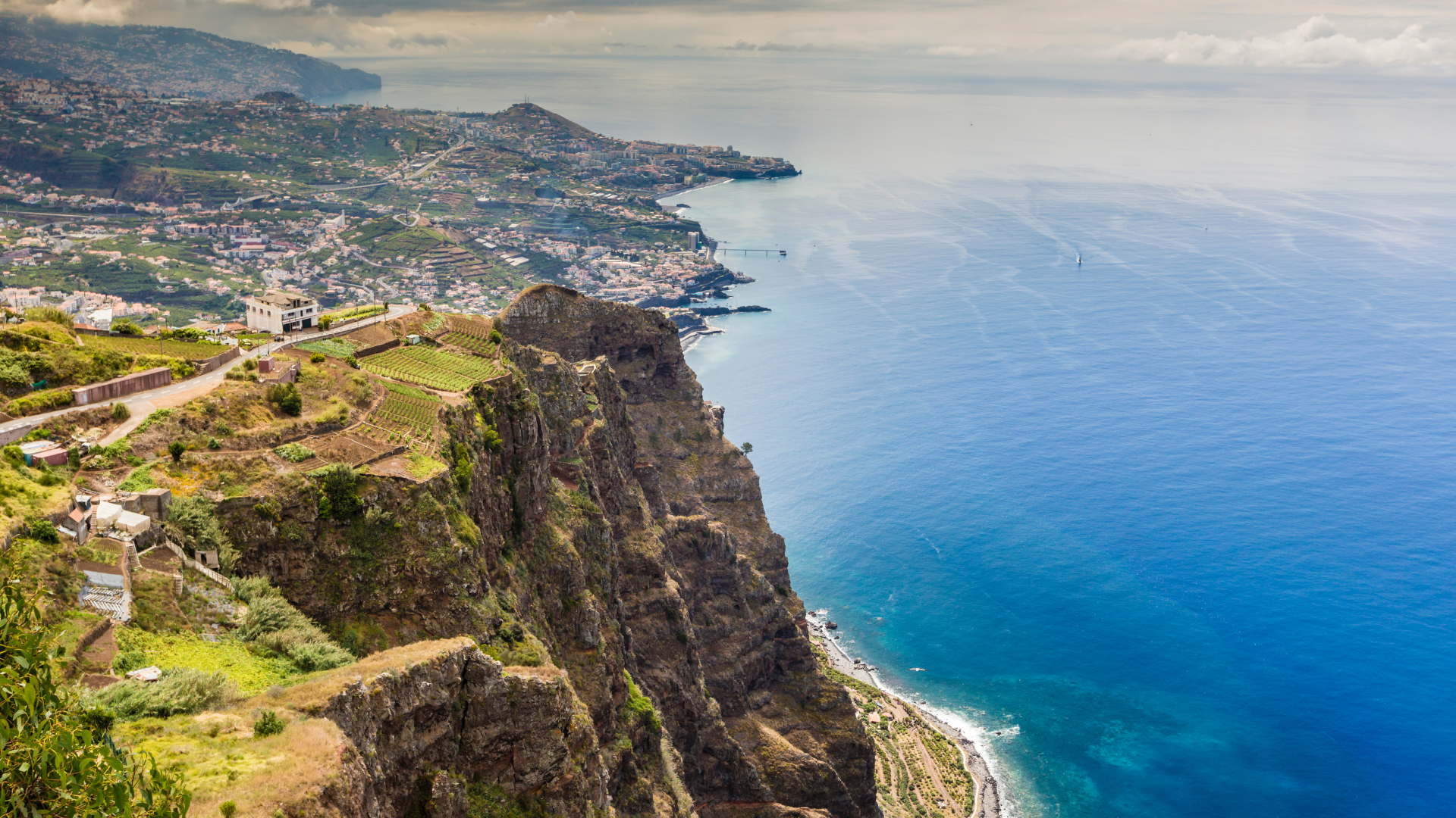 From Vineyards to Oceans Exploring Madeira’s Wine, Food, and Whale-Watching Wonders (6)