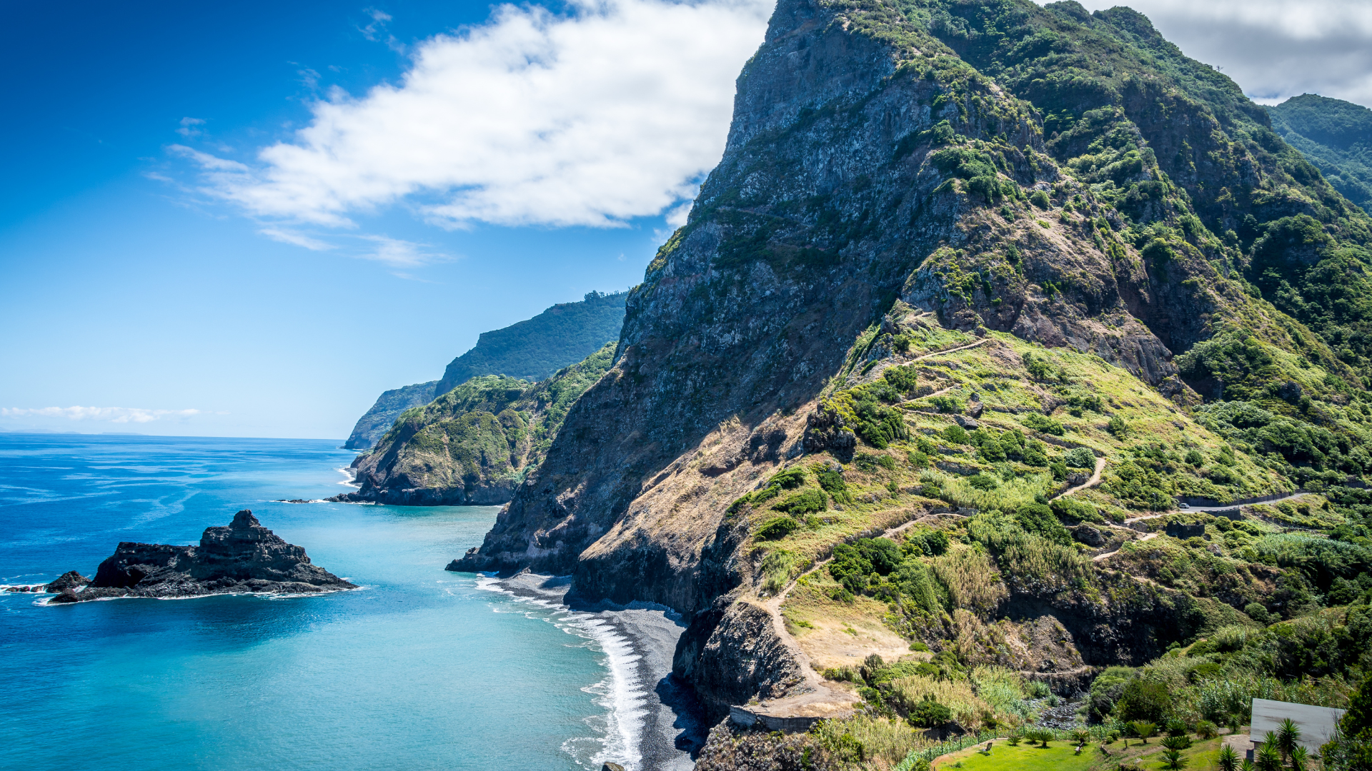 From Vineyards to Oceans Exploring Madeira’s Wine, Food, and Whale-Watching Wonders