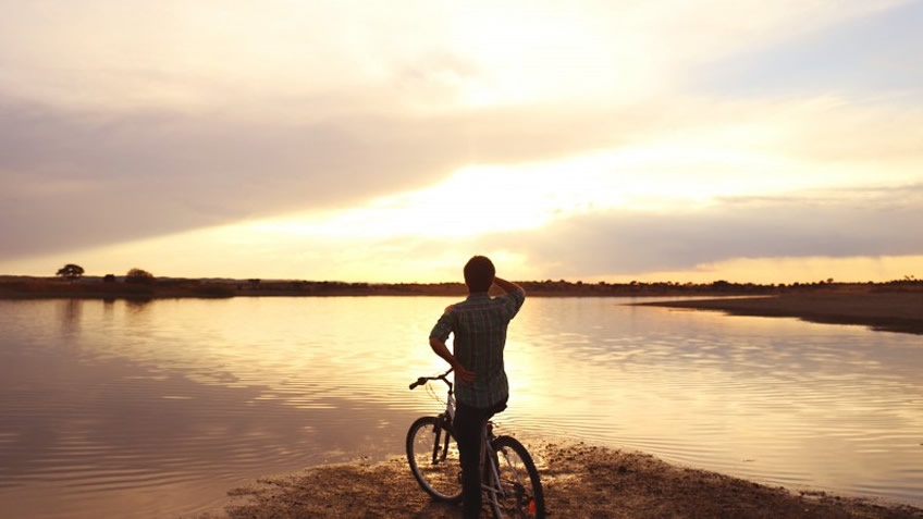 Herdade do Esporão; Bike Ride in Alentejo; Wine Tasting in Alentejo; Day Trip in Alentejo from Lisbon