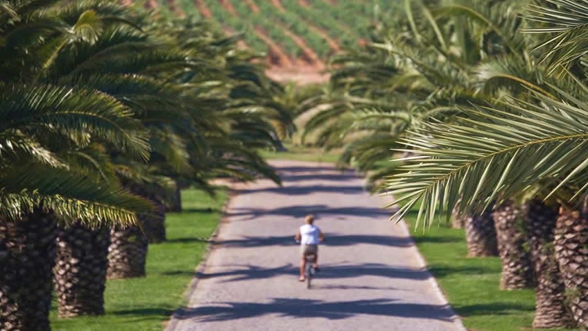 Herdade dos Grous; Winery in Alentejo