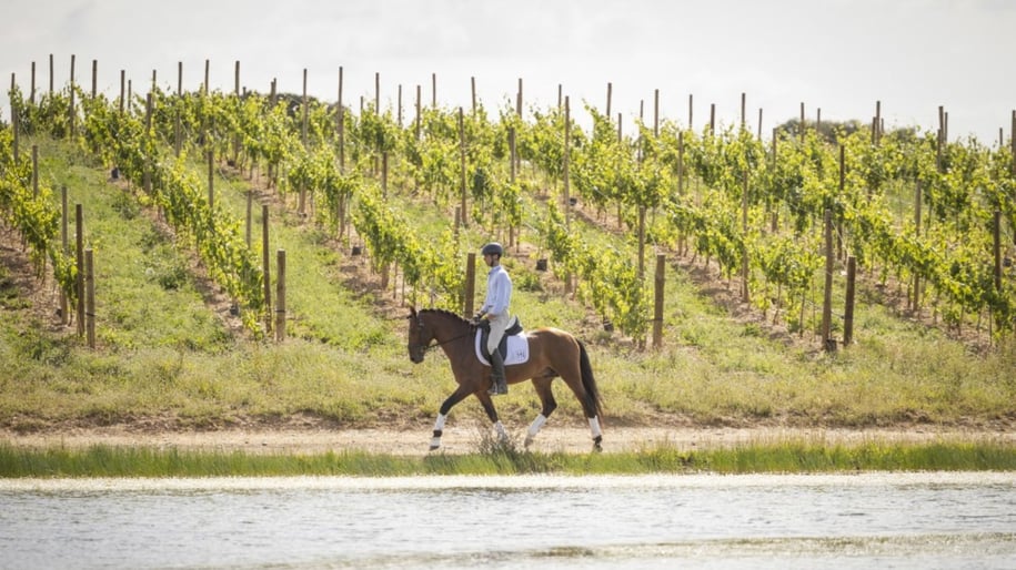 Horse Riding Herdade da Malhadinha Nova