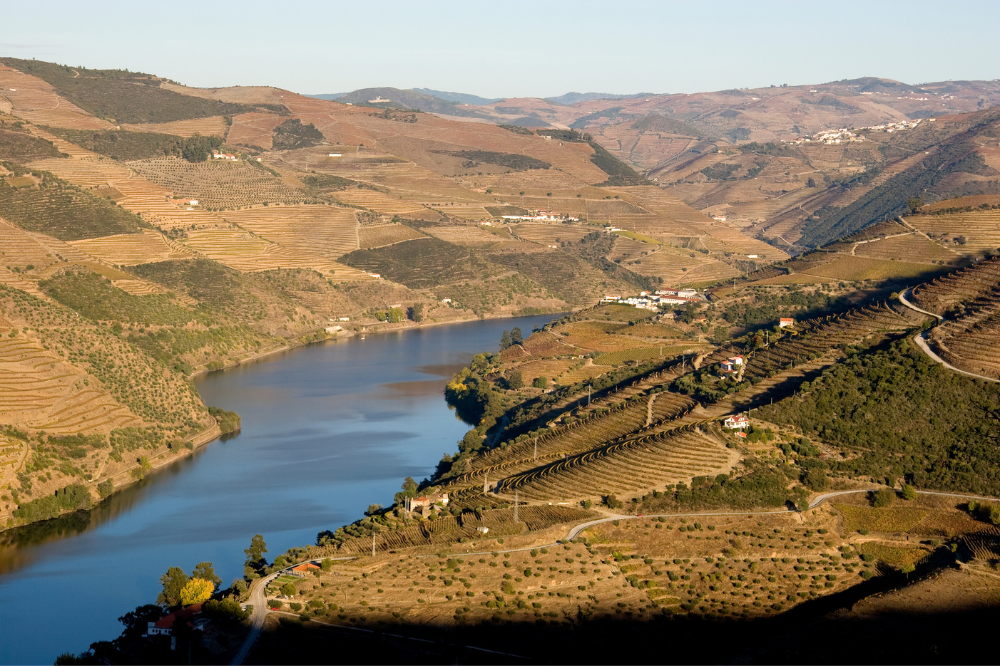 Is Douro Valley worth visiting (3)