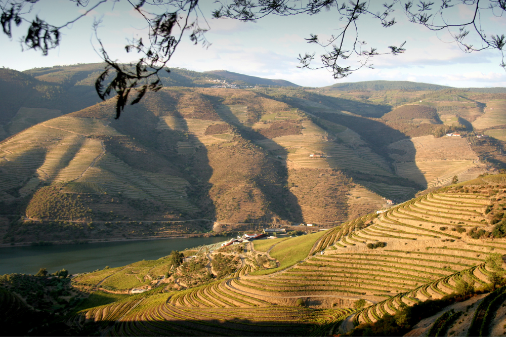 Is Douro Valley worth visiting (4)