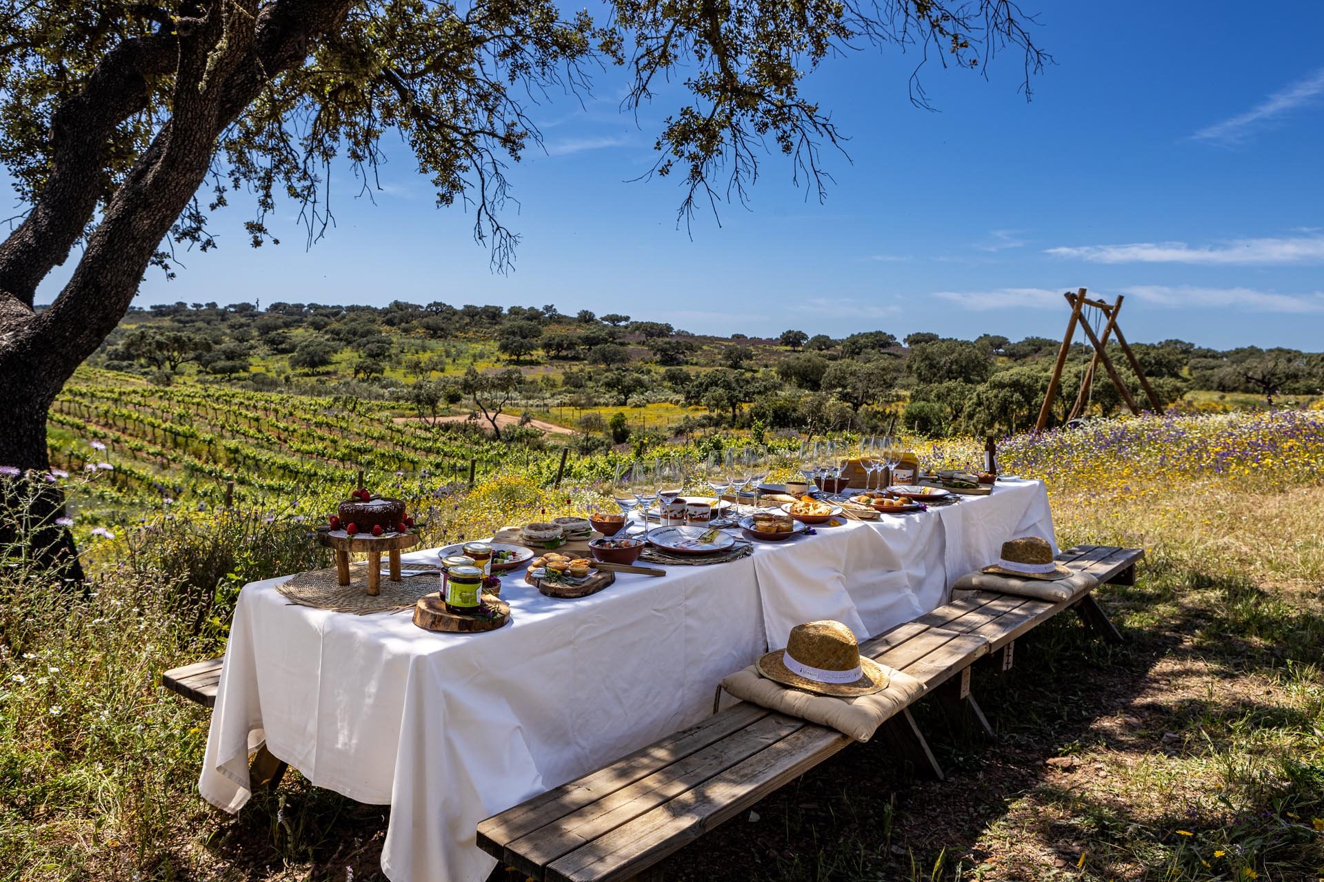 Table set at the amazing Herdade do Sobroso Estate overlooking the vineyards