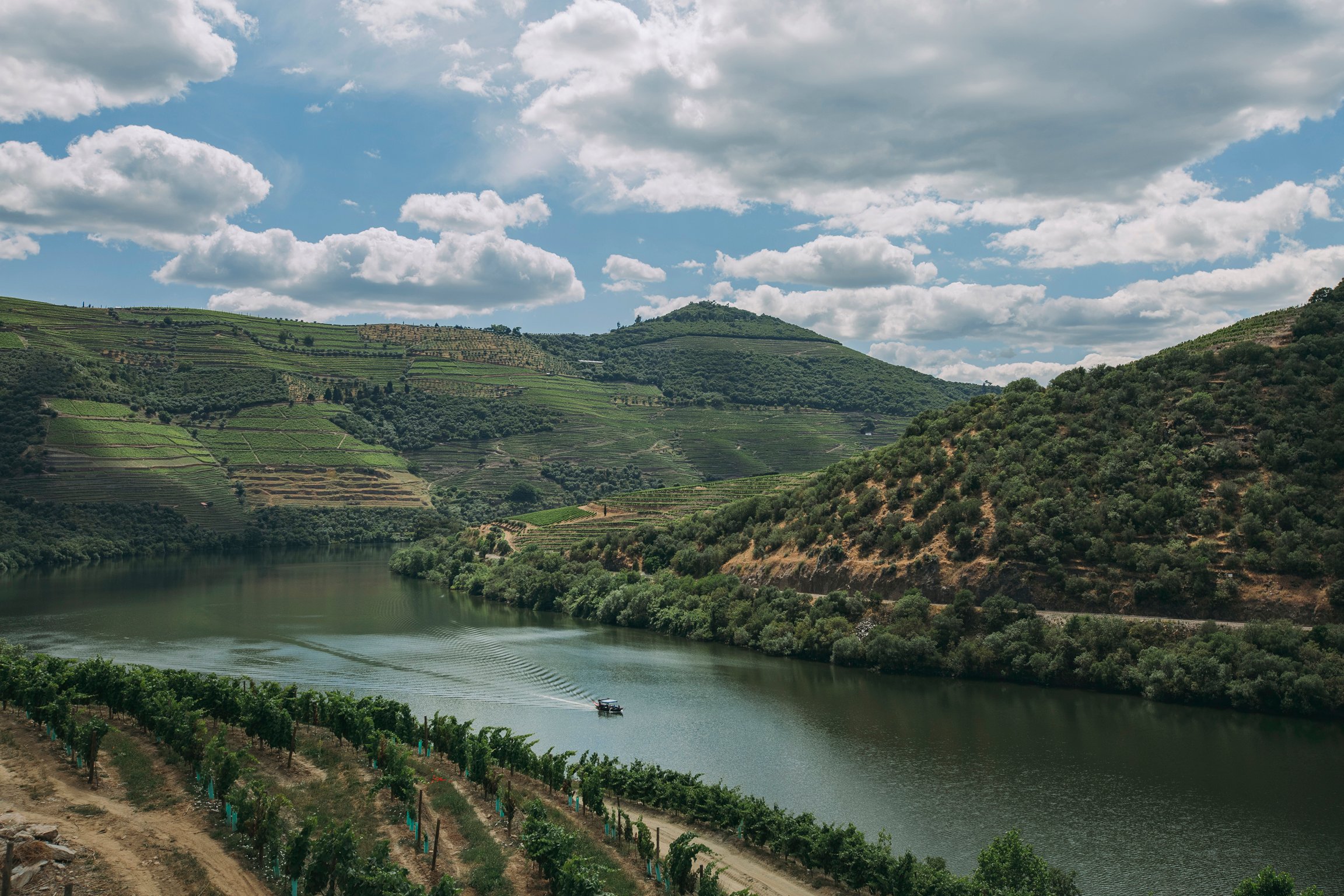 Rio Douro