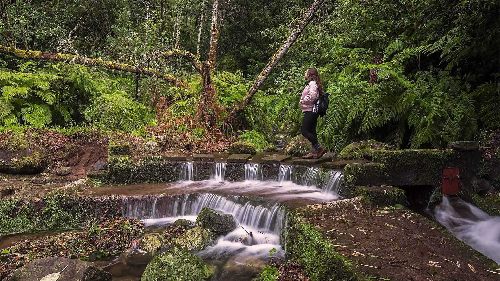 Levada do Moinho Hike: Scenic Levada do Moinho trail in Madeira, surrounded by lush greenery, waterfalls, and historic water mills.