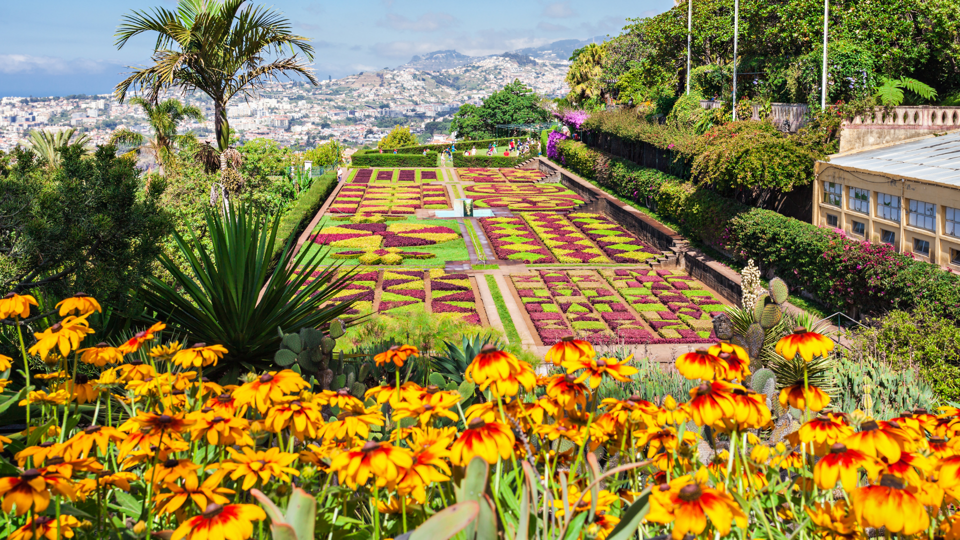 Madeira Gardens