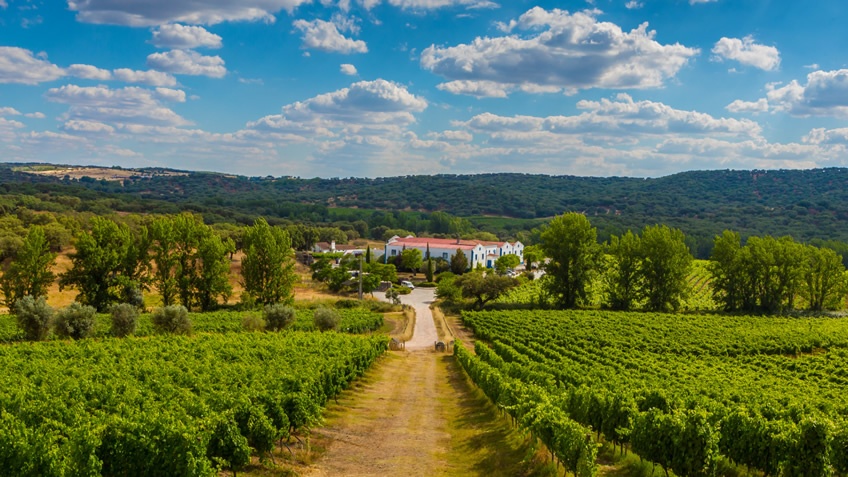 Monte da Ravasqueira; ALentejo Wine Route