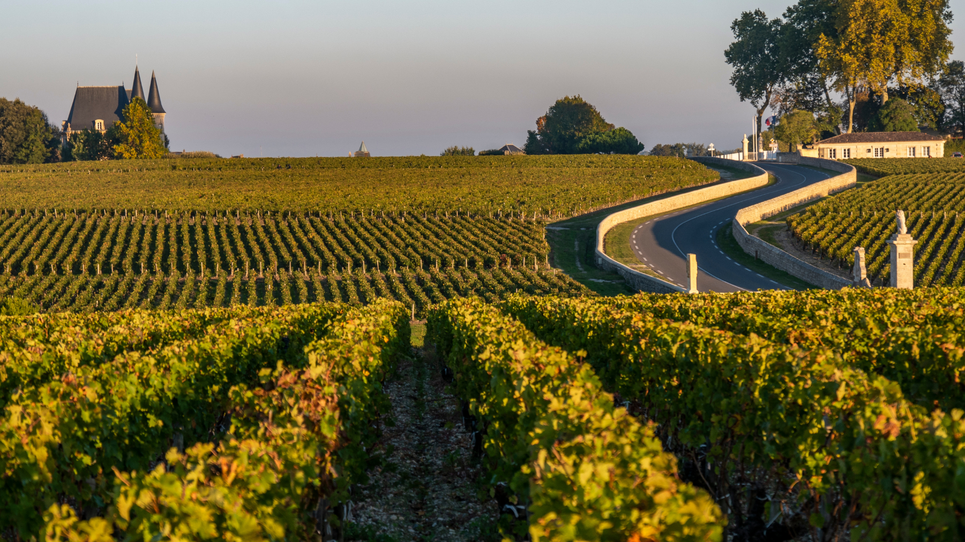 Must-Visit Locations in France for Wine Lovers: A Journey Through Vineyards and Cellars