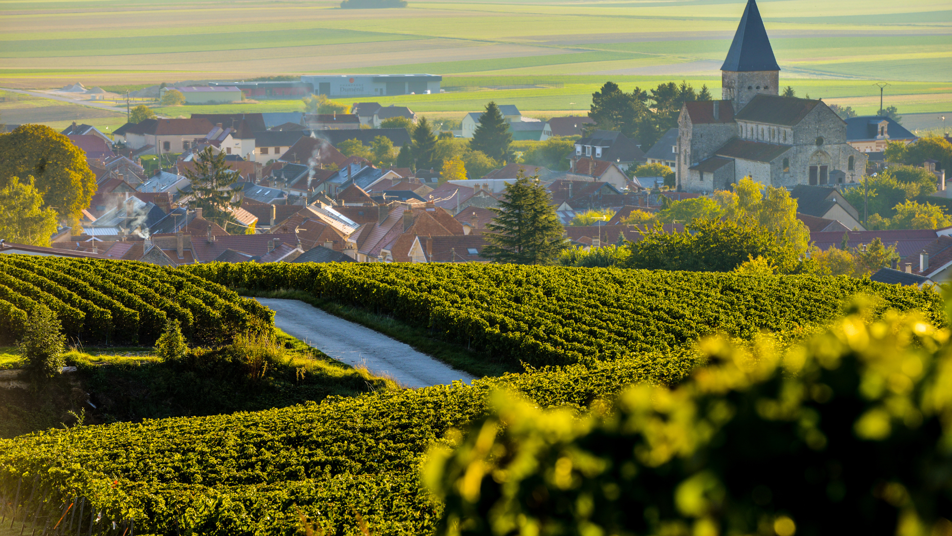 Must-Visit Locations in France for Wine Lovers: A Journey Through Vineyards and Cellars