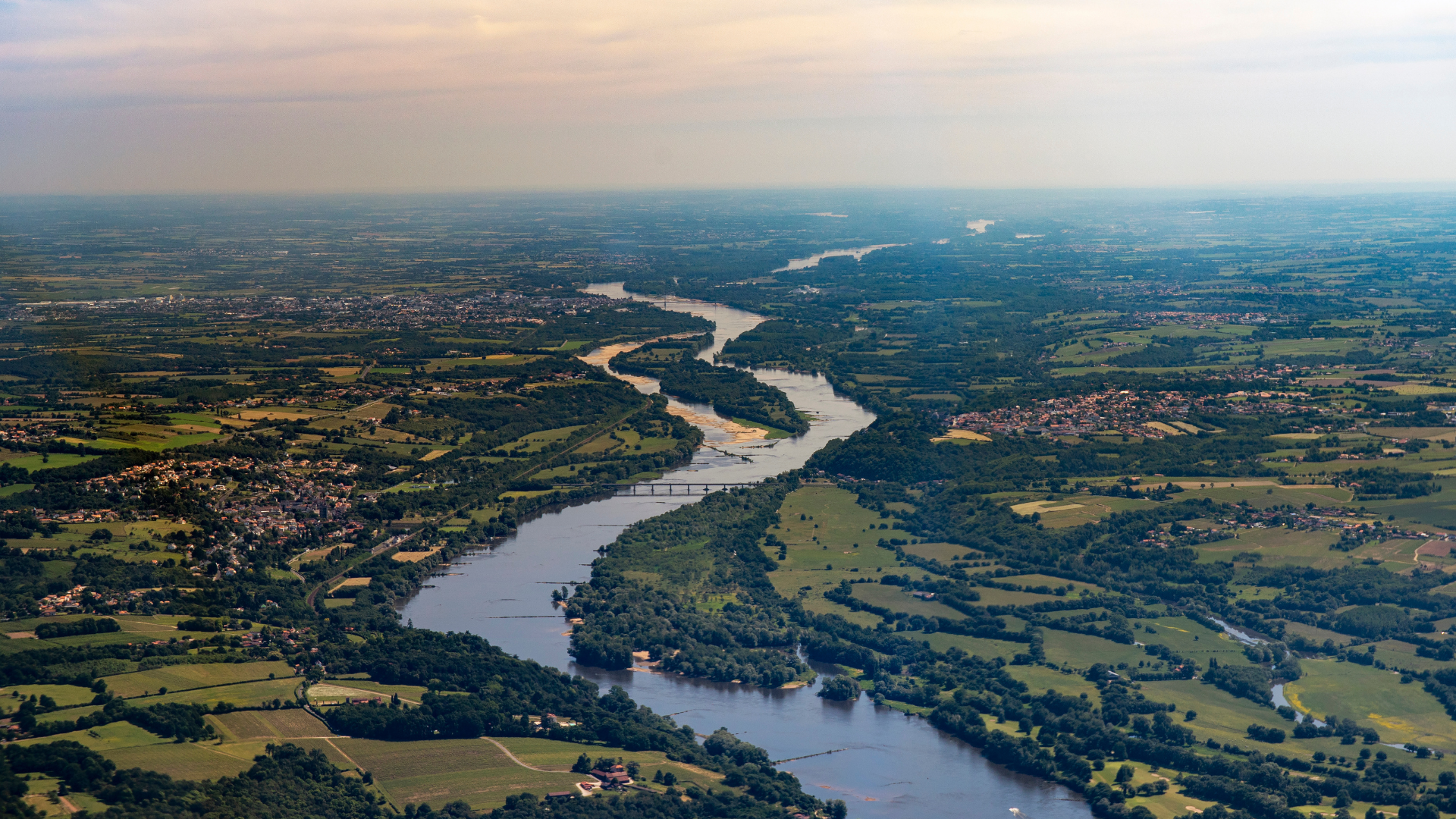 Must-Visit Locations in France for Wine Lovers: A Journey Through Vineyards and Cellars