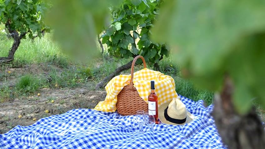 Pacheca Picnic; Picnic in the Vineyards; Picnic in Douro