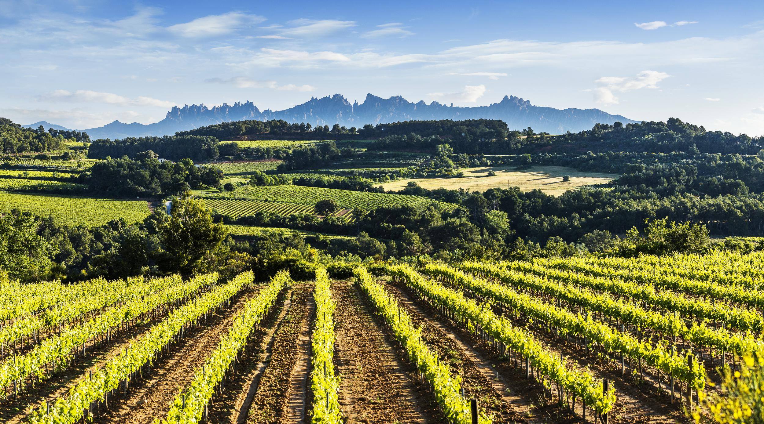 Penedès tourism