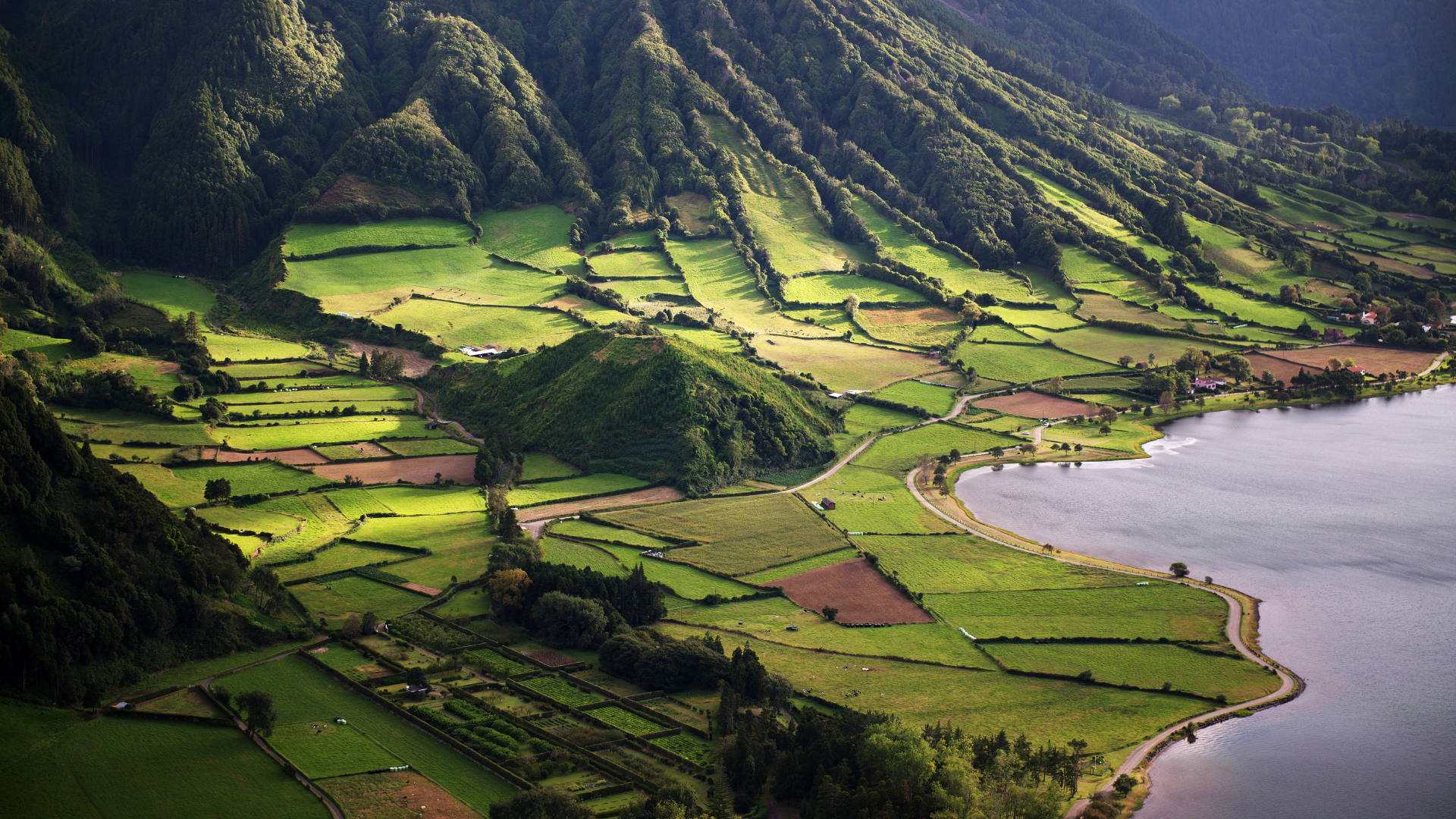 Pico Island Vineyard Culture