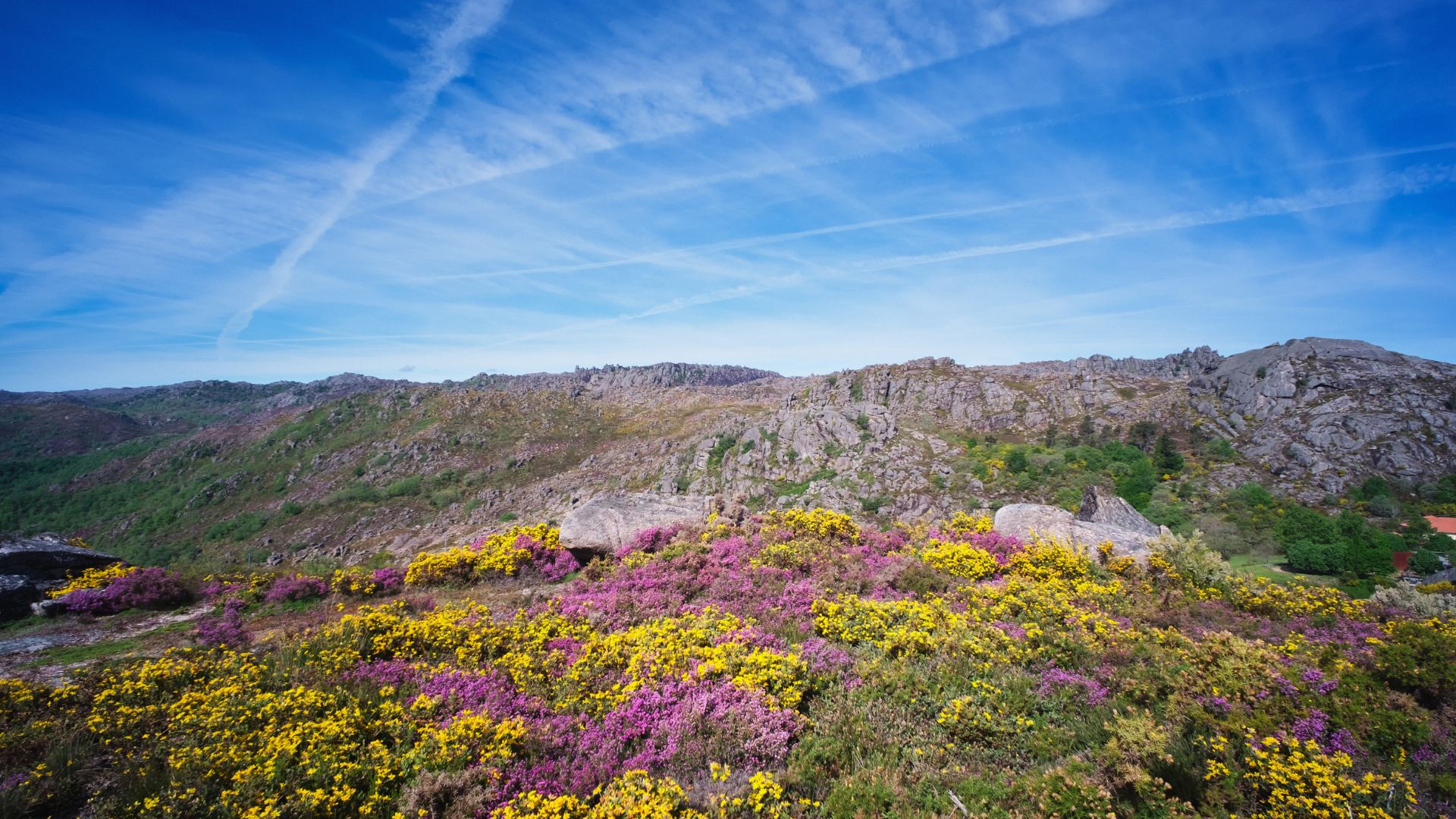 Portugal Spring