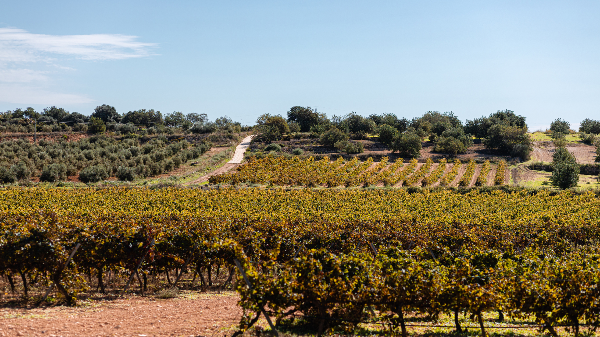 Priorat 