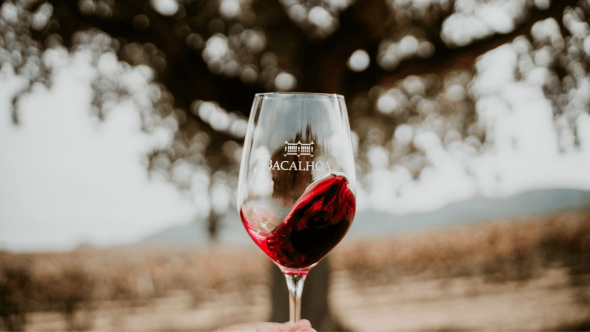 Quinta da Bacalhôa