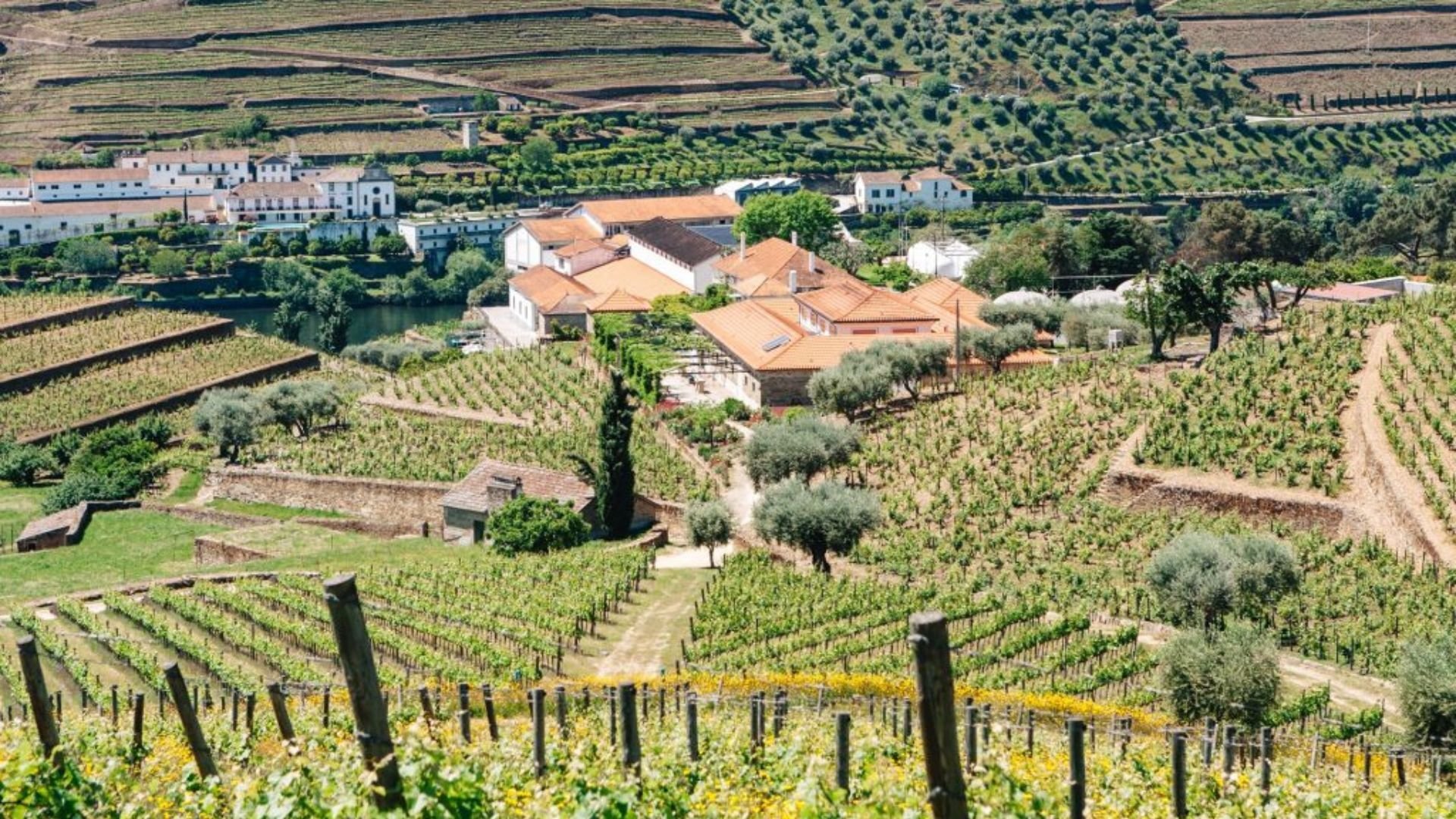 Quinta da Roêda